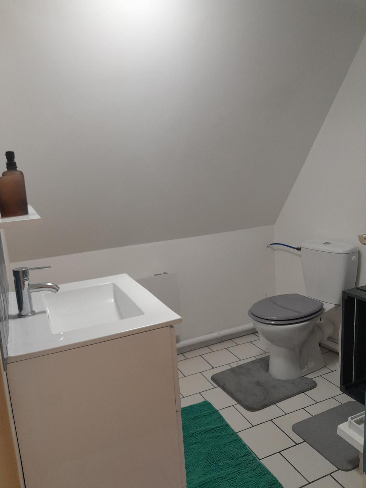 Duplex Charmant Au Coeur De Levroux Dış mekan fotoğraf